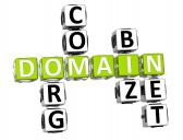 Domain Name After Market